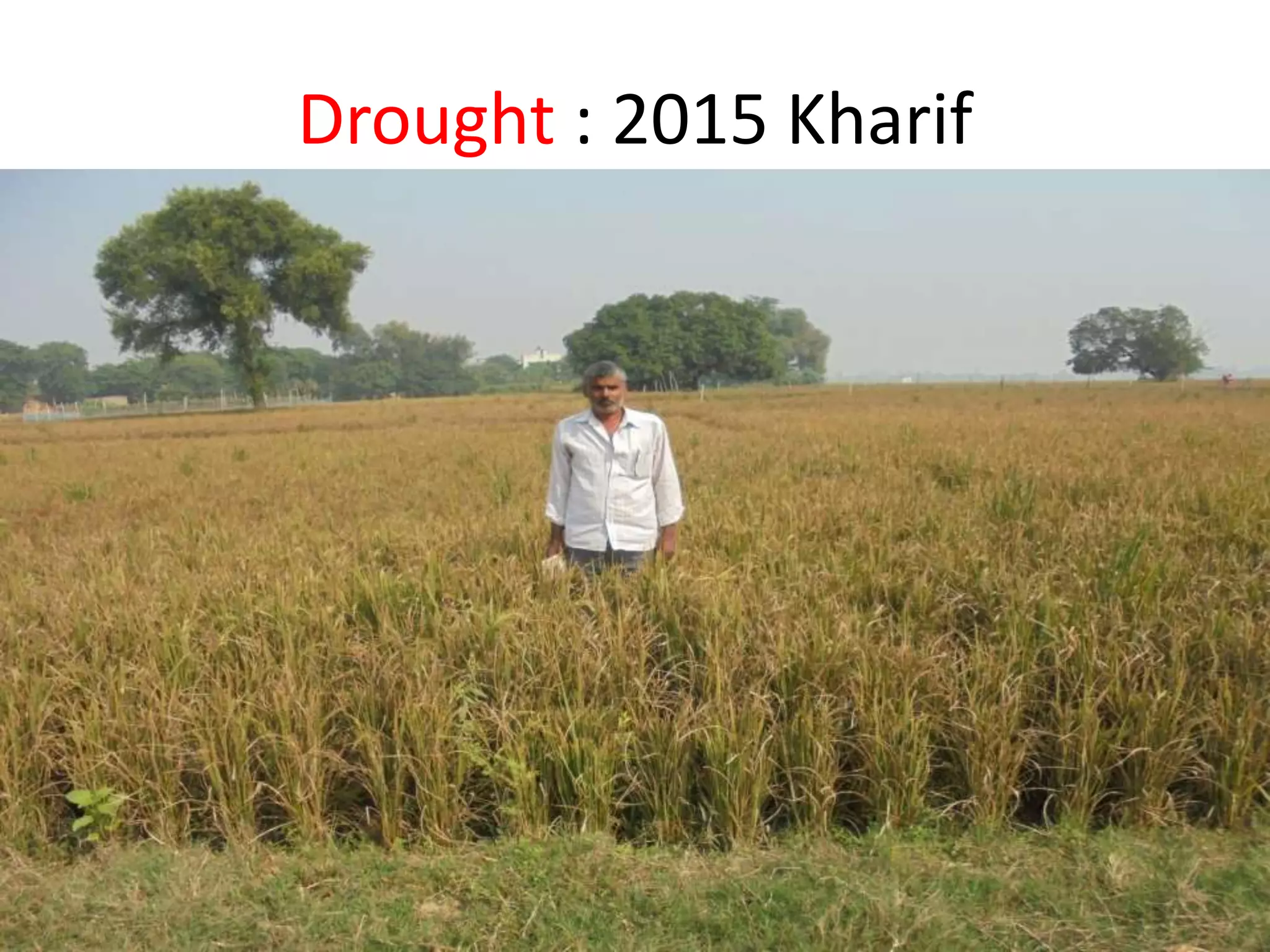 Drought : 2015 Kharif
 