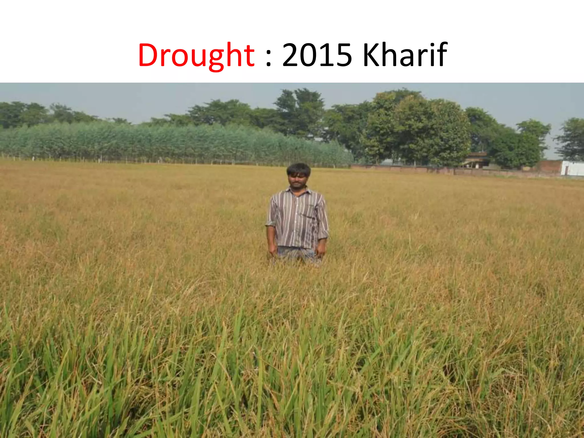 Drought : 2015 Kharif
 
