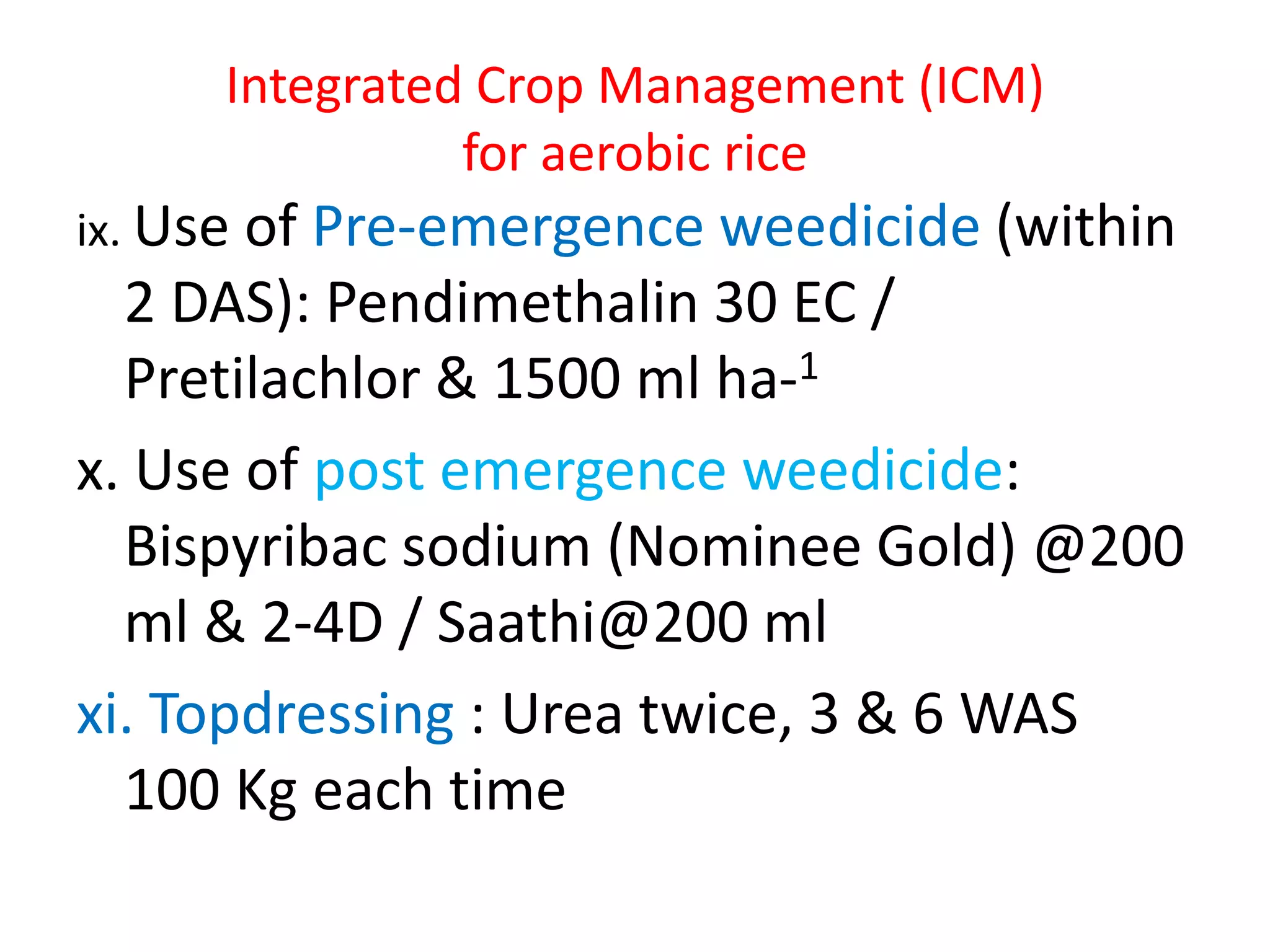 Integrated Crop Management (ICM)
for aerobic rice
ix. Use of Pre-emergence weedicide (within
2 DAS): Pendimethalin 30 EC /
Pretilachlor & 1500 ml ha-1
x. Use of post emergence weedicide:
Bispyribac sodium (Nominee Gold) @200
ml & 2-4D / Saathi@200 ml
xi. Topdressing : Urea twice, 3 & 6 WAS
100 Kg each time
 