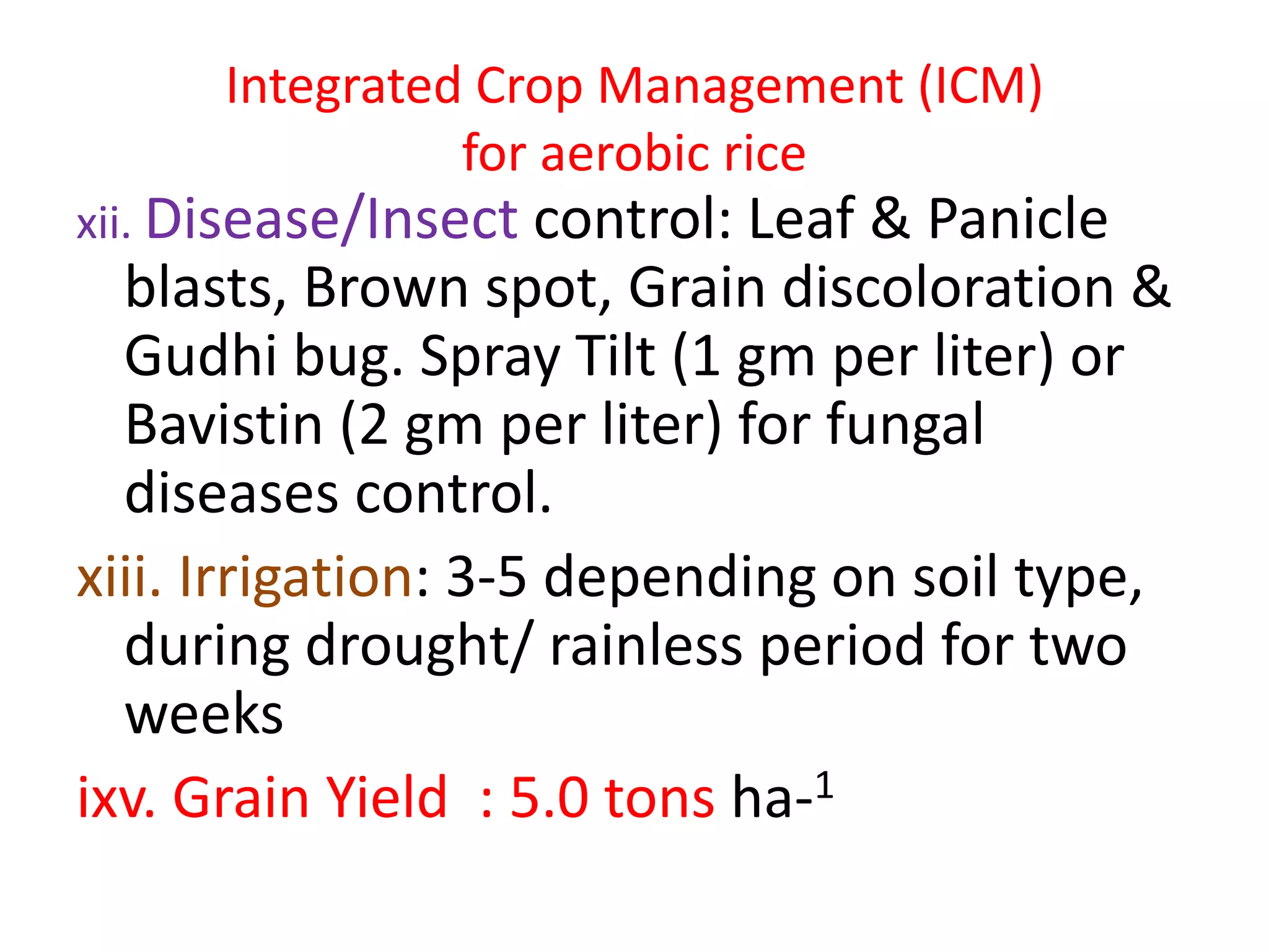 Integrated Crop Management (ICM)
for aerobic rice
xii. Disease/Insect control: Leaf & Panicle
blasts, Brown spot, Grain discoloration &
Gudhi bug. Spray Tilt (1 gm per liter) or
Bavistin (2 gm per liter) for fungal
diseases control.
xiii. Irrigation: 3-5 depending on soil type,
during drought/ rainless period for two
weeks
ixv. Grain Yield : 5.0 tons ha-1
 