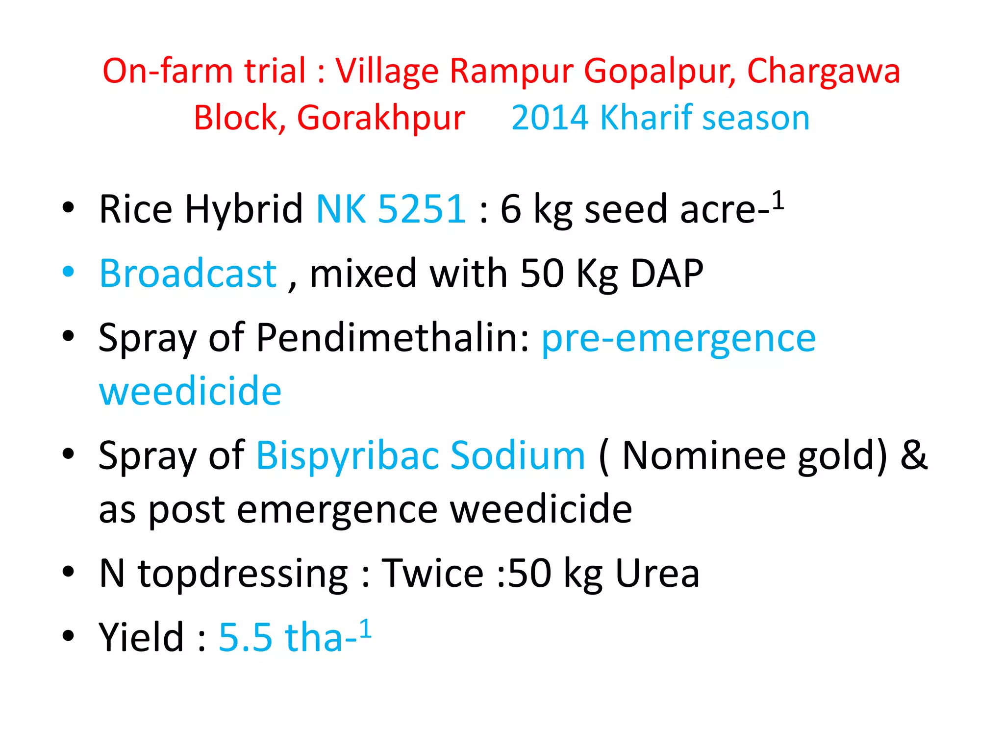 On-farm trial : Village Rampur Gopalpur, Chargawa
Block, Gorakhpur 2014 Kharif season
• Rice Hybrid NK 5251 : 6 kg seed acre-1
• Broadcast , mixed with 50 Kg DAP
• Spray of Pendimethalin: pre-emergence
weedicide
• Spray of Bispyribac Sodium ( Nominee gold) &
as post emergence weedicide
• N topdressing : Twice :50 kg Urea
• Yield : 5.5 tha-1
 
