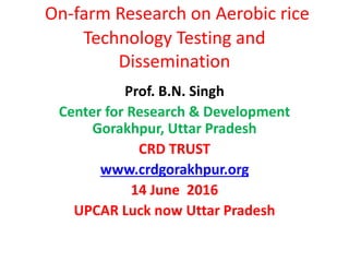 On-farm Research on Aerobic rice
Technology Testing and
Dissemination
Prof. B.N. Singh
Center for Research & Development
Gorakhpur, Uttar Pradesh
CRD TRUST
www.crdgorakhpur.org
14 June 2016
UPCAR Luck now Uttar Pradesh
 