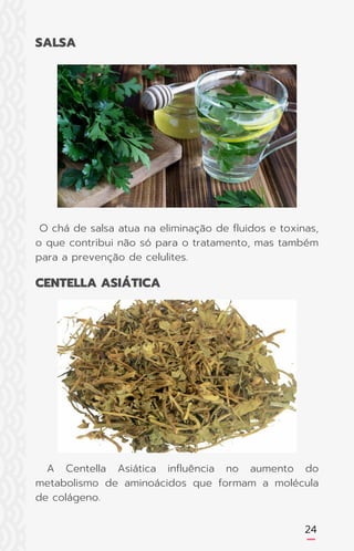 24
O chá de salsa atua na eliminação de fluidos e toxinas,
o que contribui não só para o tratamento, mas também
para a prevenção de celulites.
A Centella Asiática influência no aumento do
metabolismo de aminoácidos que formam a molécula
de colágeno.
SALSA
CENTELLA ASIÁTICA
 