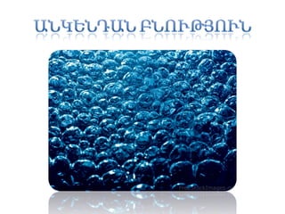 Bnutyun hrayr (1)k