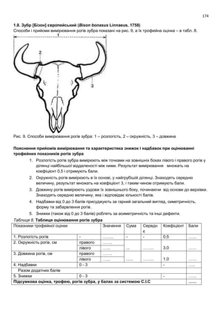 174
1.8. Зубр [Бізон] європейський (Bison bonasus Linnaeus, 1758)
Способи і прийоми вимірювання рогів зубра показані на рис. 9, а їх трофейна оцінка – в табл. 8.
Рис. 9. Способи вимірювання рогів зубра: 1 – розлогість, 2 – окружність, 3 – довжина
Пояснення прийомів вимірювання та характеристика знижок і надбавок при оцінюванні
трофейних показників рогів зубра
1. Розлогість рогів зубра вимірюють між точками на зовнішніх боках лівого і правого рогів у
ділянці найбільшої віддаленості між ними. Результат вимірювання множать на
коефіцієнт 0,5 і отримують бали.
2. Окружність рогів вимірюють в їх основі, у найгрубішій ділянці. Знаходять середню
величину, результат множать на коефіцієнт 3, і таким чином отримують бали.
3. Довжину рогів вимірюють уздовж їх зовнішнього боку, починаючи від основи до верхівки.
Знаходять середню величину, яка і відповідає кількості балів.
4. Надбавки від 0 до 3 балів присуджують за гарний загальний вигляд, симетричність,
форму та забарвлення рогів.
5. Знижки (також від 0 до 3 балів) роблять за асиметричність та інші дефекти.
Таблиця 8. Таблиця оцінювання рогів зубра
Показники трофейної оцінки Значення Сума Середн
є
Коефіцієнт Бали
1. Розлогість рогів - …….. - - 0,5 ……
2. Окружність рогів, см правого …….
... …….. 3,0 ……лівого …...
3. Довжина рогів, см правого …….
...... …….. 1,0 ……лівого …...
4. Надбавки 0 - 3 - …..
Разом додатних балів
5. Знижки 0 - 3 - ……
Підсумкова оцінка, трофею, рогів зубра, у балах за системою С.І.С ……
 