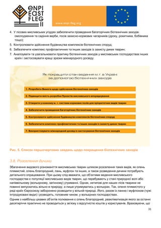 31
4. У лісових мисливських угіддях забезпечити проведення багаторічних біотехнічних заходів:
омолодження та садіння верби, посів захисно-кормових чагарників (дроку, рокитника, бобівника
тощо);
5. Контролювати здійснення будівництва комплексів біотехнічних споруд;
6. Забезпечити комплекс профілактичних та інших заходів із захисту диких тварин;
7. Аналізувати та узагальнювати практику біотехнічних заходів у мисливських господарствах інших
країн і застосовувати кращі зразки міжнародного досвіду.
Рис. 5. Список першочергових завдань щодо покращення біотехнічних заходів
3.8. Розселення дичини
Збагачення видового різноманіття мисливських тварин шляхом розселення таких видів, як олень
плямистий, олень благородний, лань, муфлон та інших, а також розведення дичини потребують
детального опрацювання. При цьому слід вважати, що об’єктами ведення мисливського
господарства є популяції мисливських видів тварин, що перебувають у стані природної волі або
напіввільному (вольєрному, загінному) утриманні. Однак, нетипові для наших лісів тварини не
повинні випускатись вільно в природу, а лише утримуватись у вольєрах. Так, оленя плямистого у
ряді країн Євросоюзу заборонено розводити у вільній природі. Його, разом із ланню і муфлоном (чужі
інтродуковані види) і розводять, головним чином, у вольєрних господарствах.
Одним з найбільш цікавих об’єктів полювання є олень благородний, реакліматизація якого за останні
десятиріччя практично не проводиться у зв’язку з відсутністю коштів у користувачів. Враховуючи, що
 