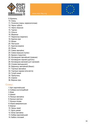 34
9.Крижень
10. Свищ
11. Попелюх (чернь червоноголова)
12. Чернь чубата
13. Чернь морська
14. Турпан
15. Синьга
16. Морянка
17. Перепілка (перепел)
18. Куріпка сіра
19. Фазан
20. Пастушок
21. Курочка водяна
22. Лиска
23. Сивка звичайна
24. Сивка морська (тулес)
25. Брижач (турухтан)
26. Коловодник звичайний (травник)
27. Коловодник чорний (щоголь)
28. Коловодник великий (уліт великий)
29. Слуква (вальдшнеп)
30. Баранець звичайний (бекас)
31. Горлиця звичайна
32. Горлиця садова (кільчаста)
33. Голуб сизий
34. Припутень
35. Сорока
36. Ворона сіра.
Ссавці:
1.Кріт європейський
2.Собака єнотоподібний
3.Вовк
4.Шакал
5.Лисиця звичайна
6.Куниця кам’яна
7.Куниця лісова
8.Норка американська
9.Борсук
10. Заєць сірий
11. Кріль дикий
12. Білка звичайна
13. Бобер європейський
14. Бабак степовий
 