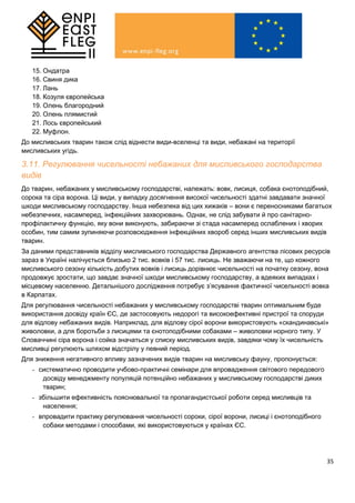 35
15. Ондатра
16. Свиня дика
17. Лань
18. Козуля європейська
19. Олень благородний
20. Олень плямистий
21. Лось європейський
22. Муфлон.
До мисливських тварин також слід віднести види-вселенці та види, небажані на території
мисливських угідь.
3.11. Регулювання чисельності небажаних для мисливського господарства
видів
До тварин, небажаних у мисливському господарстві, належать: вовк, лисиця, собака єнотоподібний,
сорока та сіра ворона. Ці види, у випадку досягнення високої чисельності здатні завдавати значної
шкоди мисливському господарству. Інша небезпека від цих хижаків – вони є переносниками багатьох
небезпечних, насамперед, інфекційних захворювань. Однак, не слід забувати й про санітарно-
профілактичну функцію, яку вони виконують, забираючи зі стада насамперед ослаблених і хворих
особин, тим самим зупиняючи розповсюдження інфекційних хвороб серед інших мисливських видів
тварин.
За даними представників відділу мисливського господарства Державного агентства лісових ресурсів
зараз в Україні налічується близько 2 тис. вовків і 57 тис. лисиць. Не зважаючи на те, що кожного
мисливського сезону кількість добутих вовків і лисиць дорівнює чисельності на початку сезону, вона
продовжує зростати, що завдає значної шкоди мисливському господарству, а вдеяких випадках і
місцевому населенню. Детальнішого дослідження потребує з’ясування фактичної чисельності вовка
в Карпатах.
Для регулювання чисельності небажаних у мисливському господарстві тварин оптимальним буде
використання досвіду країн ЄС, де застосовують недорогі та високоефективні пристрої та споруди
для відлову небажаних видів. Наприклад, для відлову сірої ворони використовують «скандинавські»
живоловки, а для боротьби з лисицями та єнотоподібними собаками – живоловки норного типу. У
Словаччині сіра ворона і сойка значаться у списку мисливських видів, завдяки чому їх чисельність
мисливці регулюють шляхом відстрілу у певний період.
Для зниження негативного впливу зазначених видів тварин на мисливську фауну, пропонується:
- систематично проводити учбово-практичні семінари для впровадження світового передового
досвіду менеджменту популяцій потенційно небажаних у мисливському господарстві диких
тварин;
- збільшити ефективність пояснювальної та пропагандистської роботи серед мисливців та
населення;
- впровадити практику регулювання чисельності сороки, сірої ворони, лисиці і єнотоподібного
собаки методами і способами, які використовуються у країнах ЄС.
 