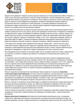40
Одразу після добування тварини на місці відстрілу (відлову) до початку вивезення добутої тварини, а
також у разі закінчення зазначеного в ліцензії строку полювання, ліцензія закривається шляхом
проставлення відміток про результат полювання. Після закриття ліцензії до початку транспортування
добутої тварини з місця добування розпорядник полювання зобов'язаний зробити відмітку у
контрольних картках та засвідчити її своїм підписом, а у випадку добування парнокопитних
мисливських тварин простежити за тим, щоб мисливець правильно прикріпив ідентифікатор на
зап'ястя ноги добутої копитної мисливської тварини.
У разі перестрілу (відстрілу за однією ліцензією декількох тварин при їх одночасному виході на різні
номери стрілецької лінії під час одного загону) при проведенні колективного чи облавного полювання
на парнокопитних тварин, розпорядник полювання закриває ліцензію на одну з добутих тварин. На
зворотному боці ліцензії до початку вивезення добутих тварин він обов'язково проставляє відмітку
про кількість добутих у результаті перестрілу тварин, їх вік, стать. Користувач закриває ліцензії на
додатково добутих тварин. Учасники полювання зобов'язані відшкодувати користувачу вартість
додатково закритих ліцензій та вартість продукції полювання, добутої в результаті перестрілу.
У разі відсутності резерву ліміту добування мисливських тварин (далі - ліміти) поточного року,
користувач негайно повідомляє про перестріл у державні органи мисливського господарства та
спеціально уповноважений центральний орган виконавчої влади з питань охорони навколишнього
природного середовища, а відстріляні тварини зараховуються в ліміт наступного року.
При індивідуальному полюванні на хутрових звірів, яке не потребує присутності єгеря і здійснюється
за ліцензією, усі записи та відмітку про результат полювання в контрольній картці робить сам
мисливець.
У 10-денний строк після закінчення сезону полювання користувачі подають державному органу
мисливського господарства, від якого отримали ліцензії, звіт про результати проведення полювань
за ліцензіями. У звіті користувач зазначає кількість добутих тварин за видами, їх вік, стать і додає до
звіту всі отримані ним ліцензії. Державний орган мисливського господарства узагальнює звіти
користувачів та зберігає їх протягом трьох років разом з повернутими ліцензіями. Після закінчення
строку зберігання зазначені звіти та ліцензії списуються відповідно до встановленого
законодавством порядку.
Разом із ліцензією на парнокопитних мисливських тварин видається спеціальна ліцензійна
пластикова бирка (ідентифікатор), яка має унікальну нумерацію, що реєструється у центральному
органі виконавчої влади, що забезпечує формування державної фінансової політики у сфері
мисливського господарства і встановлює форму та порядок її обігу, яка є ідентифікатором законності
добутої парнокопитної мисливської тварини і яка кріпиться на зап'ястя її ноги.
Вартість ліцензій та ліцензійних пластикових бирок на добування мисливських тварин визначається
центральним органом виконавчої влади, що забезпечує формування державної політики у сфері
мисливського господарства, за погодженням із центральним органом виконавчої влади, що
забезпечує формування державної фінансової політики.
З метою належної організації і контролю за безпечним полюванням, користувач використовує журнал
проведення інструктажу з правил безпеки при проведенні полювання (далі – журнал реєстрації
полювання).
Журнал реєстрації полювання виготовляється користувачем мисливських угідь, є номерним,
номер якого користувач мисливських угідь реєструє у центральному органі виконавчої влади, що
реалізує державну політику у сфері мисливського господарства перед початком його використання.
 