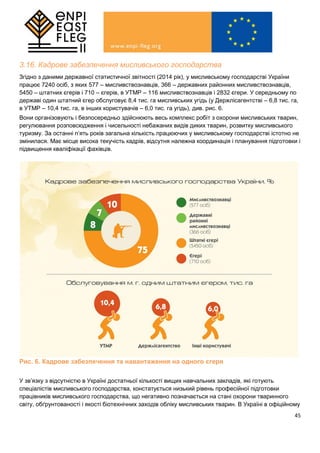 45
3.16. Кадрове забезпечення мисливського господарства
Згідно з даними державної статистичної звітності (2014 рік), у мисливському господарстві України
працює 7240 осіб, з яких 577 – мисливствознавців, 366 – державних районних мисливствознавців,
5450 – штатних єгерів і 710 – єгерів, в УТМР – 116 мисливствознавців і 2832 єгери. У середньому по
державі один штатний єгер обслуговує 8,4 тис. га мисливських угідь (у Держлісагентстві – 6,8 тис. га,
в УТМР – 10,4 тис. га, в інших користувачів – 6,0 тис. га угідь), див. рис. 6.
Вони організовують і безпосередньо здійснюють весь комплекс робіт з охорони мисливських тварин,
регулювання розповсюдження і чисельності небажаних видів диких тварин, розвитку мисливського
туризму. За останні п’ять років загальна кількість працюючих у мисливському господарстві істотно не
змінилася. Має місце висока текучість кадрів, відсутня належна координація і планування підготовки і
підвищення кваліфікації фахівців.
Рис. 6. Кадрове забезпечення та навантаження на одного єгеря
У зв’язку з відсутністю в Україні достатньої кількості вищих навчальних закладів, які готують
спеціалістів мисливського господарства, констатується низький рівень професійної підготовки
працівників мисливського господарства, що негативно позначається на стані охорони тваринного
світу, обґрунтованості і якості біотехнічних заходів обліку мисливських тварин. В Україні в офіційному
 