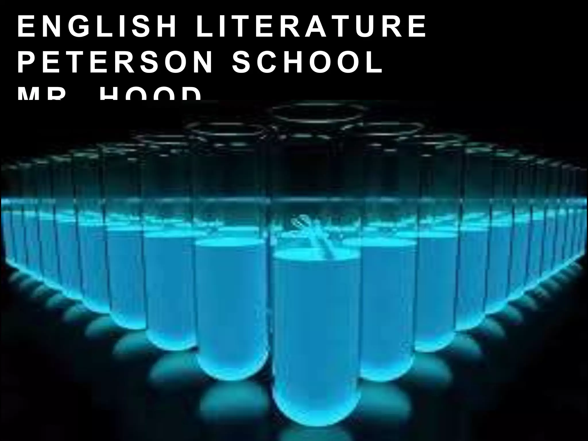 E N G L I S H L I T E R A T U R E
P E T E R S O N S C H O O L
M R . H O O D