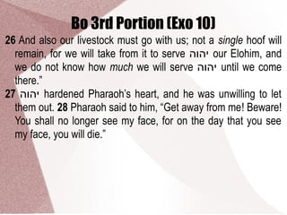 Bo 3rd Portion (Exo 10)
26 And also our livestock must go with us; not a single hoof will
remain, for we will take from it to serve ‫יהוה‬ our Elohim, and
we do not know how much we will serve ‫יהוה‬ until we come
there.”
27 ‫יהוה‬ hardened Pharaoh’s heart, and he was unwilling to let
them out. 28 Pharaoh said to him, “Get away from me! Beware!
You shall no longer see my face, for on the day that you see
my face, you will die.”
 