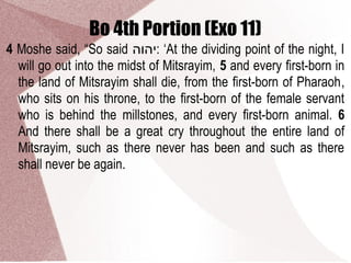Bo 4th Portion (Exo 11)
4 Moshe said, “So said ‫:יהוה‬ ‘At the dividing point of the night, I
will go out into the midst of Mitsrayim, 5 and every first-born in
the land of Mitsrayim shall die, from the first-born of Pharaoh,
who sits on his throne, to the first-born of the female servant
who is behind the millstones, and every first-born animal. 6
And there shall be a great cry throughout the entire land of
Mitsrayim, such as there never has been and such as there
shall never be again.
 