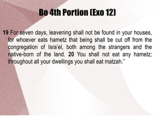 Bo 4th Portion (Exo 12)
19 For seven days, leavening shall not be found in your houses,
for whoever eats hametz that being shall be cut off from the
congregation of Isra’el, both among the strangers and the
native-born of the land. 20 You shall not eat any hametz;
throughout all your dwellings you shall eat matzah.”
 