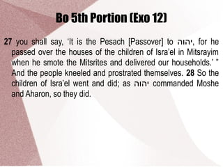 Bo 5th Portion (Exo 12)
27 you shall say, ‘It is the Pesach [Passover] to ‫,יהוה‬ for he
passed over the houses of the children of Isra’el in Mitsrayim
when he smote the Mitsrites and delivered our households.’ ”
And the people kneeled and prostrated themselves. 28 So the
children of Isra’el went and did; as ‫יהוה‬ commanded Moshe
and Aharon, so they did.
 