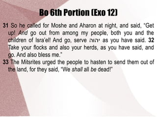 Bo 6th Portion (Exo 12)
31 So he called for Moshe and Aharon at night, and said, “Get
up! And go out from among my people, both you and the
children of Isra’el! And go, serve ‫יהוה‬ as you have said. 32
Take your flocks and also your herds, as you have said, and
go. And also bless me.”
33 The Mitsrites urged the people to hasten to send them out of
the land, for they said, “We shall all be dead!”
 