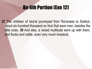 Bo 6th Portion (Exo 12)
37 The children of Isra’el journeyed from Ra‘amses to Sukkot,
about six hundred thousand on foot that were men, besides the
little ones. 38 And also, a mixed multitude went up with them,
and flocks and cattle, even very much livestock.
 