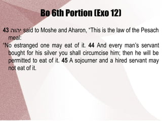 Bo 6th Portion (Exo 12)
43 ‫יהוה‬ said to Moshe and Aharon, “This is the law of the Pesach
meal:
“No estranged one may eat of it. 44 And every man’s servant
bought for his silver you shall circumcise him; then he will be
permitted to eat of it. 45 A sojourner and a hired servant may
not eat of it.
 