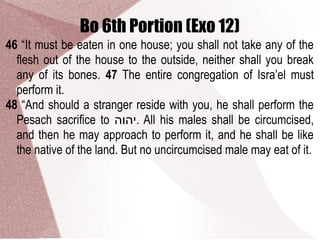 Bo 6th Portion (Exo 12)
46 “It must be eaten in one house; you shall not take any of the
flesh out of the house to the outside, neither shall you break
any of its bones. 47 The entire congregation of Isra’el must
perform it.
48 “And should a stranger reside with you, he shall perform the
Pesach sacrifice to ‫.יהוה‬ All his males shall be circumcised,
and then he may approach to perform it, and he shall be like
the native of the land. But no uncircumcised male may eat of it.
 