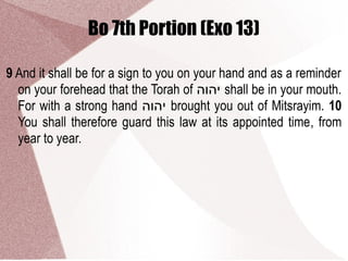 Bo 7th Portion (Exo 13)
9 And it shall be for a sign to you on your hand and as a reminder
on your forehead that the Torah of ‫יהוה‬ shall be in your mouth.
For with a strong hand ‫יהוה‬ brought you out of Mitsrayim. 10
You shall therefore guard this law at its appointed time, from
year to year.
 
