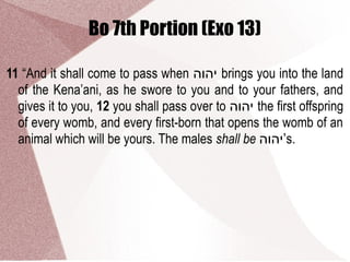 Bo 7th Portion (Exo 13)
11 “And it shall come to pass when ‫יהוה‬ brings you into the land
of the Kena’ani, as he swore to you and to your fathers, and
gives it to you, 12 you shall pass over to ‫יהוה‬ the first offspring
of every womb, and every first-born that opens the womb of an
animal which will be yours. The males shall be ‫’יהוה‬s.
 