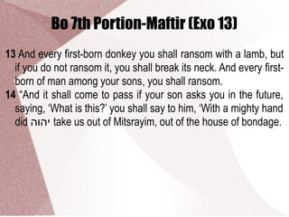 Bo 7th Portion-Maftir (Exo 13)
13 And every first-born donkey you shall ransom with a lamb, but
if you do not ransom it, you shall break its neck. And every first-
born of man among your sons, you shall ransom.
14 “And it shall come to pass if your son asks you in the future,
saying, ‘What is this?’ you shall say to him, ‘With a mighty hand
did ‫יהוה‬ take us out of Mitsrayim, out of the house of bondage.
 