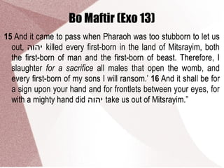 Bo Maftir (Exo 13)
15 And it came to pass when Pharaoh was too stubborn to let us
out, ‫יהוה‬ killed every first-born in the land of Mitsrayim, both
the first-born of man and the first-born of beast. Therefore, I
slaughter for a sacrifice all males that open the womb, and
every first-born of my sons I will ransom.’ 16 And it shall be for
a sign upon your hand and for frontlets between your eyes, for
with a mighty hand did ‫יהוה‬ take us out of Mitsrayim.”
 