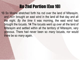 Bo 2nd Portion (Exo 10)
13 So Moshe stretched forth his rod over the land of Mitsrayim,
and ‫יהוה‬ brought an east wind in the land all that day and all
the night. By the time it was morning, the east wind had
brought the locusts. 14 The locusts went up over all the land of
Mitsrayim and settled within all the territory of Mitsrayim, very
grievous. There had never been so many locusts, nor would
there be so many again.
 
