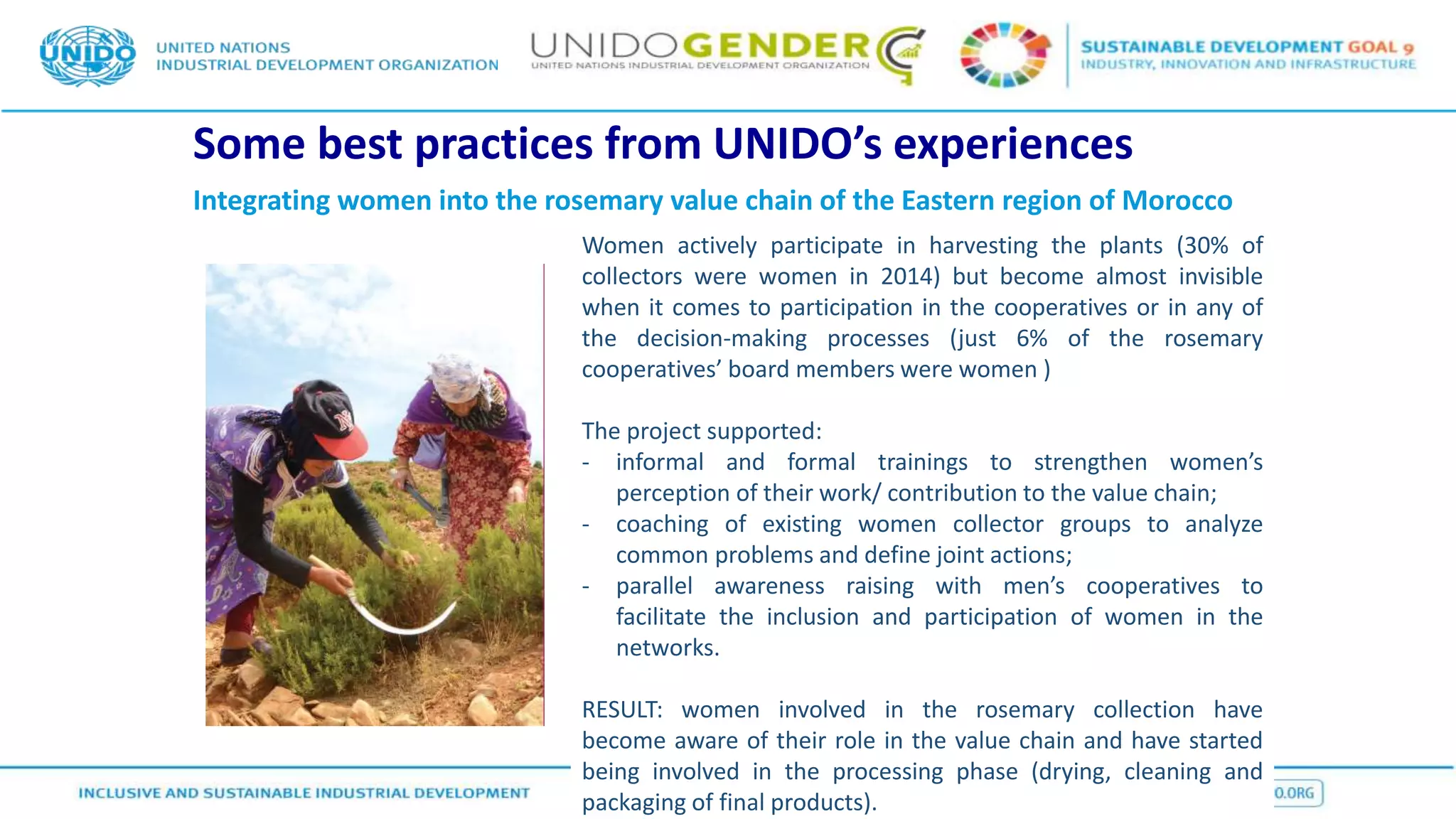 Some best practices from UNIDO’s experiences
Integrating women into the rosemary value chain of the Eastern region of Morocco
Women actively participate in harvesting the plants (30% of
collectors were women in 2014) but become almost invisible
when it comes to participation in the cooperatives or in any of
the decision-making processes (just 6% of the rosemary
cooperatives’ board members were women )
The project supported:
- informal and formal trainings to strengthen women’s
perception of their work/ contribution to the value chain;
- coaching of existing women collector groups to analyze
common problems and define joint actions;
- parallel awareness raising with men’s cooperatives to
facilitate the inclusion and participation of women in the
networks.
RESULT: women involved in the rosemary collection have
become aware of their role in the value chain and have started
being involved in the processing phase (drying, cleaning and
packaging of final products).
 
