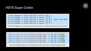 HSTS Super Cookie
 