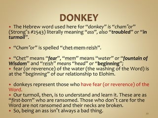  The Hebrew word used here for “donkey” is “cham‟or”
(Strong‟s #2543) literally meaning “ass”, also “troubled” or “in
turmoil”.
 “Cham‟or” is spelled “chet-mem-reish”.
 “Chet” means “fear”, “mem” means “water” or “fountain of
Wisdom” and “reish” means “head” or “beginning”;
 fear (or reverence) of the water (the washing of the Word) is
at the “beginning” of our relationship to Elohim.
 donkeys represent those who have fear (or reverence) of the
Word.
 Our turmoil, then, is to understand and learn it. These are as
“first-born” who are ransomed. Those who don‟t care for the
Word are not ransomed and their necks are broken.
 So, being an ass isn‟t always a bad thing. 39
 