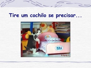 Tire um cochilo se precisar... 
