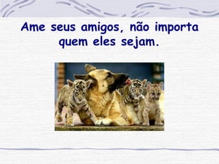 Ame seus amigos, não importa quem eles sejam. 