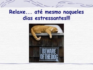 Relaxe... até mesmo naqueles dias estressantes!!! 