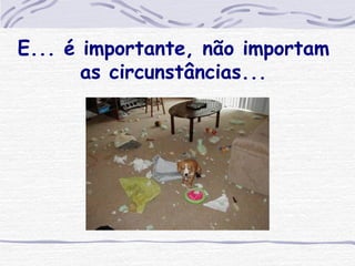 E... é importante, não importam as circunstâncias... 