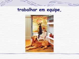 trabalhar em equipe, 