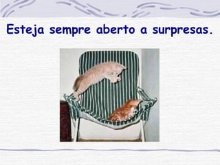 Esteja sempre aberto a surpresas. 