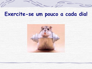 Exercite-se um pouco a cada dia! 