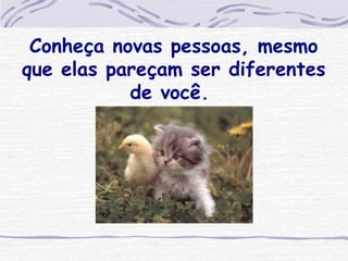 Conheça novas pessoas, mesmo que elas pareçam ser diferentes de você.  