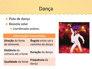 Dança
Pista de dança
Bússola solar
Coordenadas polares
Informações transmitidas
Direção da fonte
de alimento
Ângulo entre sol e
caminho da dança
Distância da
colmeia até a fonte
Duração da dança
Qualidade da fonte
Frequência da
dança
 