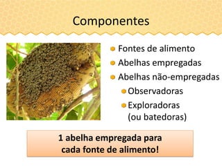 Componentes
Fontes de alimento
Abelhas empregadas
Abelhas não-empregadas
Observadoras
Exploradoras
(ou batedoras)
1 abelha empregada para
cada fonte de alimento!
 
