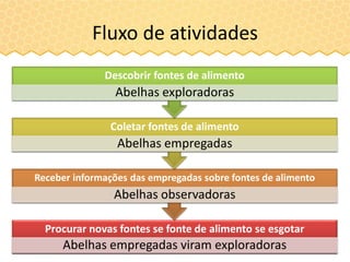 Fluxo de atividades
Procurar novas fontes se fonte de alimento se esgotar
Abelhas empregadas viram exploradoras
Receber informações das empregadas sobre fontes de alimento
Abelhas observadoras
Coletar fontes de alimento
Abelhas empregadas
Descobrir fontes de alimento
Abelhas exploradoras
 