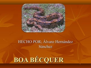 HECHO POR; Álvaro Hernández
Sánchez
BOA BÉCQUER