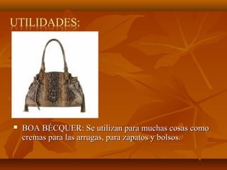  BOA BÉCQUER: Se utilizan para muchas cosas como
cremas para las arrugas, para zapatos y bolsos.