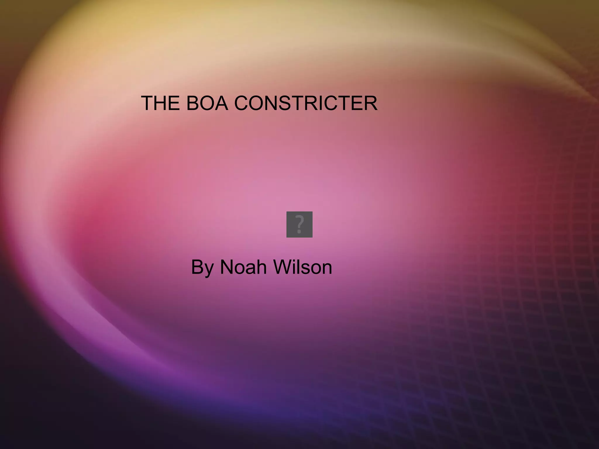 Boa constrictor | PPT