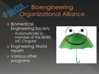 BioE Career Areas
 Professional
   Medicine
   Dentistry
   Pharmacy
   Law
     Patent Law

 Academia
 