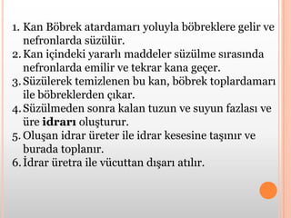 Böbrek atardamarı ile kirli kan böbreğe taşınıratıklarSüzülüp temizlenen kan Böbrek toplardamarı ile taşınırOluşan idrar üreter ile idrar kesesine taşınırİdrar kesesinde toplanan idrar üretra ile dışarı atılır. 