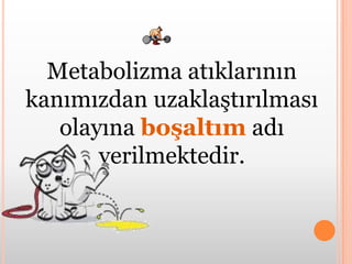 Metabolizma atıklarının kanımızdan uzaklaştırılması olayına boşaltımadı verilmektedir.