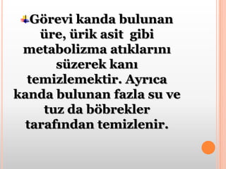 Temizleme işlemi böbreklerde bulunan milyonlarca NEFRONtarafından gerçekleştirilir. Nefronlar aynen bir süzgeç gibi davranarak kandaki atık maddeleri süzerek kanı temizlerler ve idrar oluşumunu sağlar. Her böbrekte yaklaşık 1 milyon nefron bulunur. 