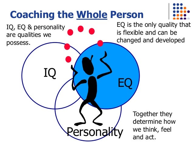 The Emotional Intelligence Coach Program